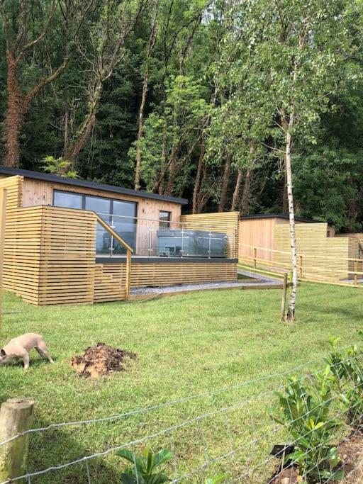 The Caswell Bay Hide Out *
